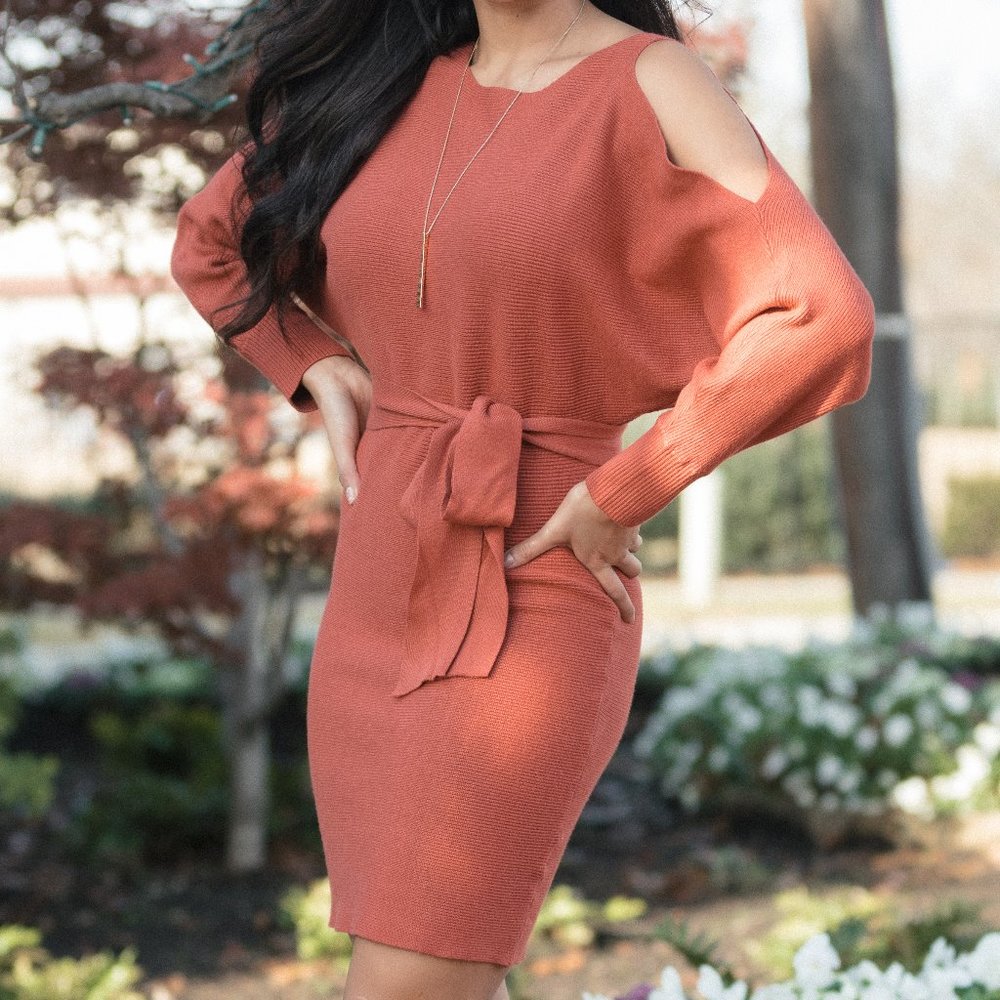Sweater Dress